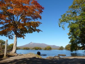 紅葉の大沼