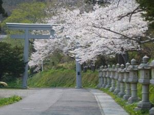 春の函館八幡宮